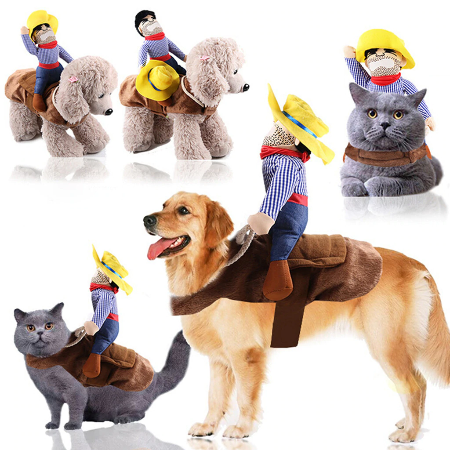 Cowboy Party Dress for Pets