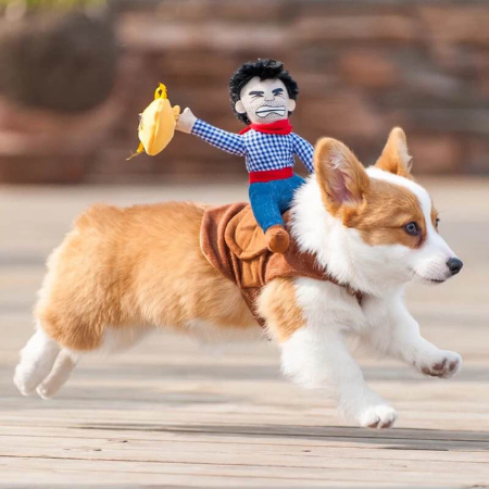 Cowboy Party Dress for Pets