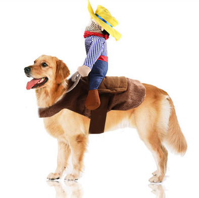 Cowboy Party Dress for Pets