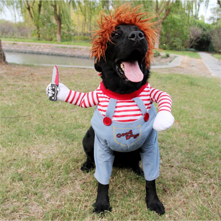 Serial Party Dress for Pets