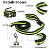Dog hands-free leash