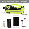 Dog hands-free leash