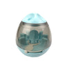 Ball Bowl Toy
