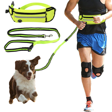 Dog hands-free leash