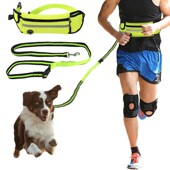 Dog hands-free leash