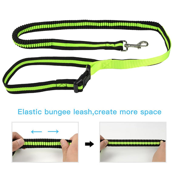 Dog hands-free leash
