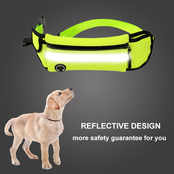 Dog hands-free leash