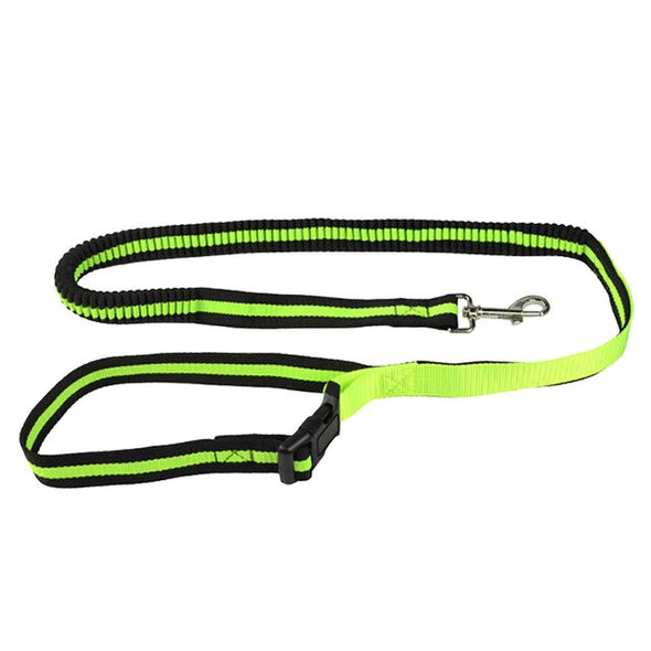 Dog hands-free leash