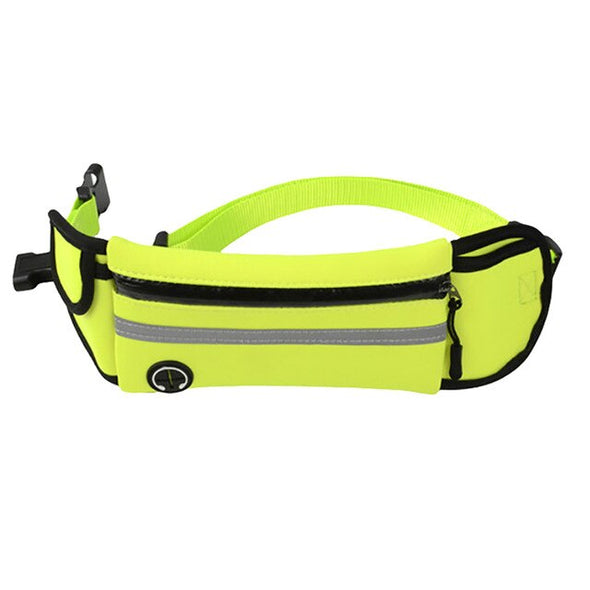 Dog hands-free leash