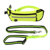 Dog hands-free leash