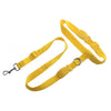 Handsfree Dog Leash